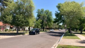 Del Norte Place tree-lined street